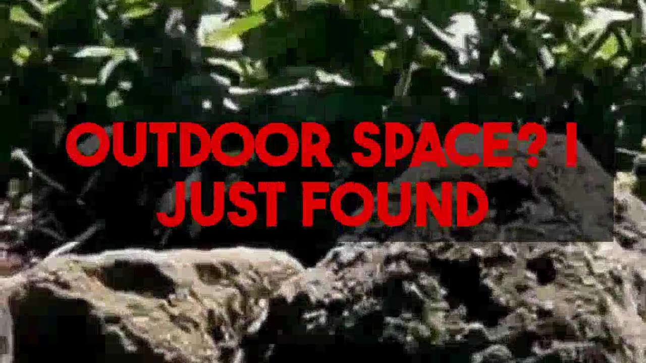 AI Garden Planning: Create your perfect thriving space for $29.99 at gardenplanbyai.com