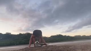 A guy saved a beached dolphin
