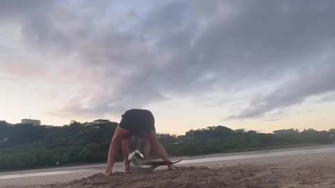 A guy saved a beached dolphin