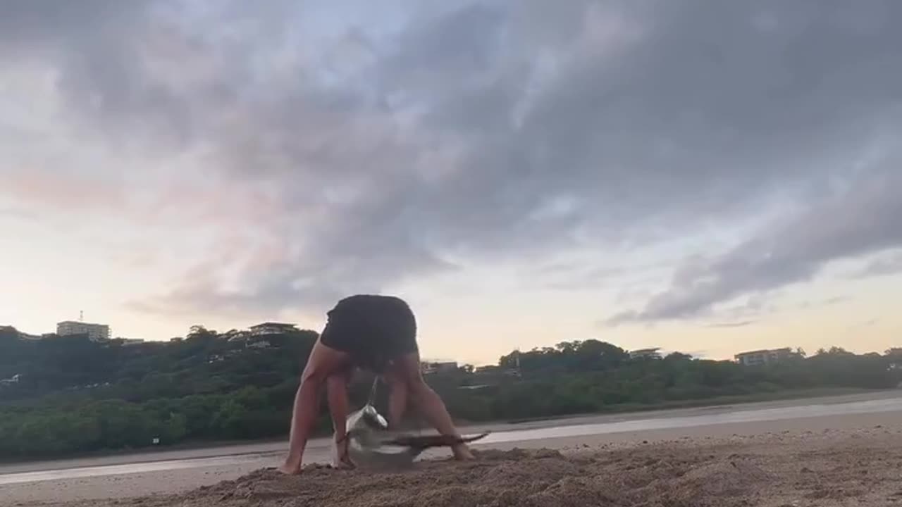 A guy saved a beached dolphin