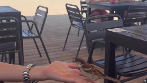 Beautiful hot girl in hotel sperrow eating food