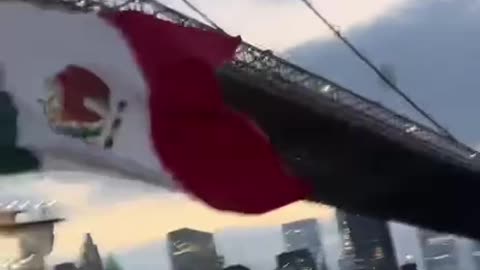 Brooklyn Bridge Habbenings | 👀🍿5/17/25)