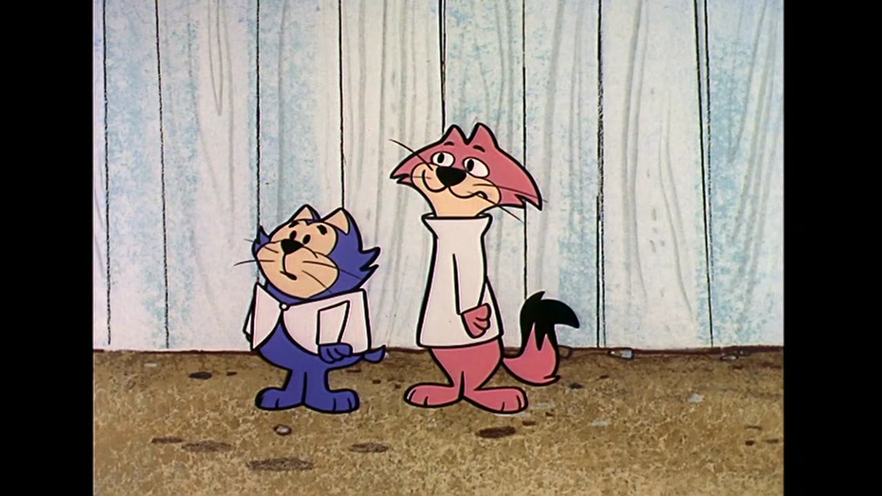 Don Gato y Su Pandilla - T1E29 - Pobre Perrito