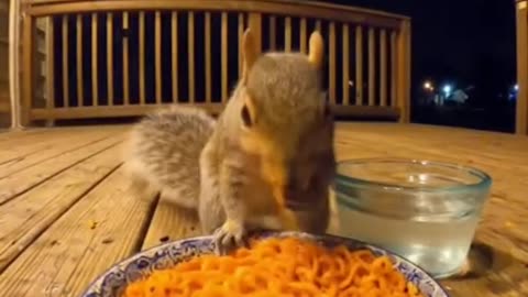 Spicy Noodles Challenge 🐿️🔥 | Funny Squirrel Reaction AI Short