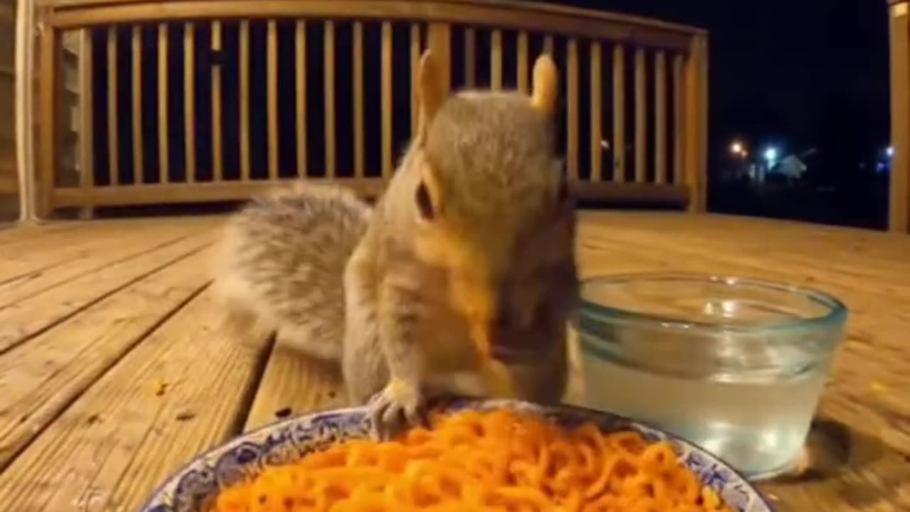 Spicy Noodles Challenge 🐿️🔥 | Funny Squirrel Reaction AI Short