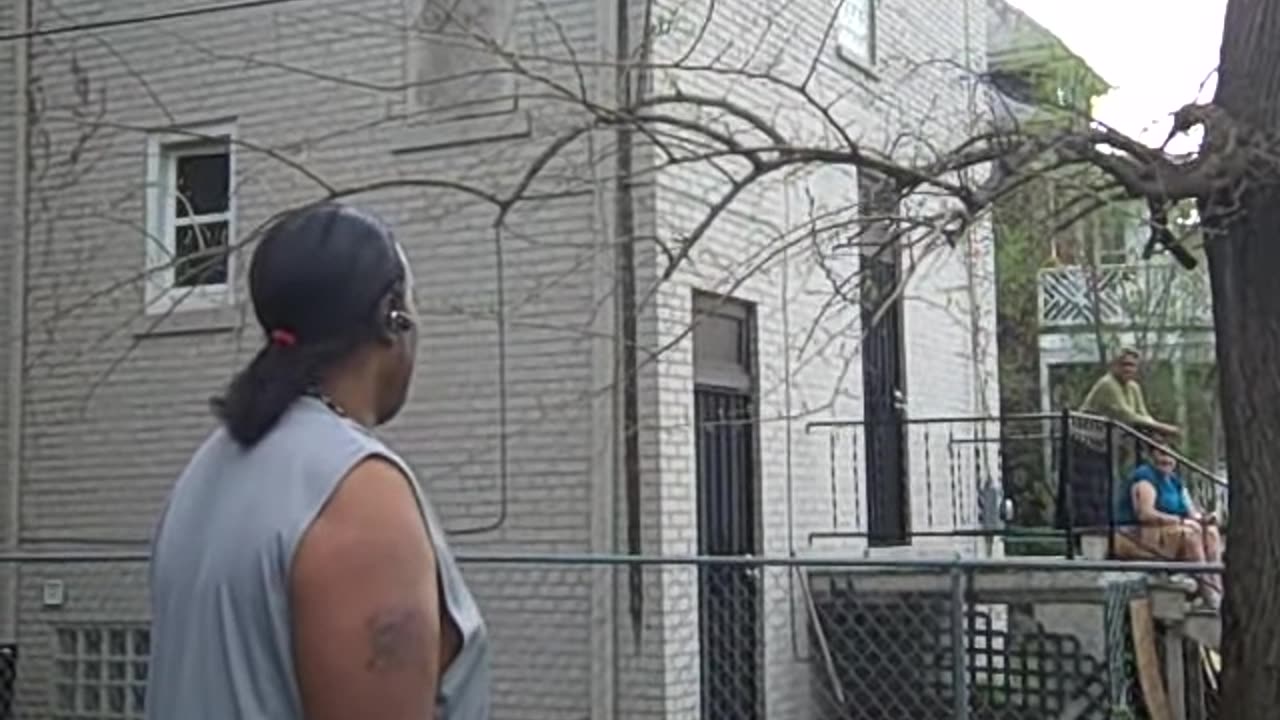 AFC HOME ON THE SHEA SHOW