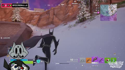 The GhostCat Broadcast: Fortnite / Retro Vibes