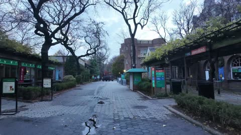 🗽 NYC Live 🔴 Walk (Chat on YouTube)