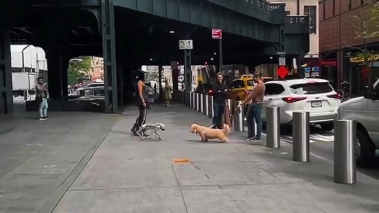 Robots Gone WILD! Real-Life Robo Rebellions You Never Imagined