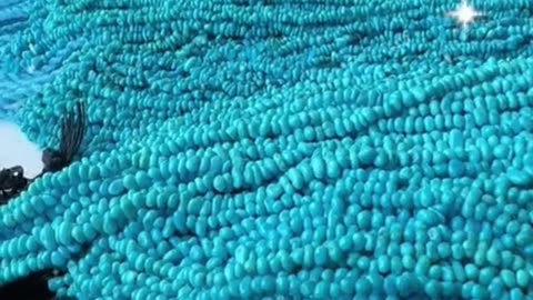 250415-2 Sleeping Beauty's natural sterling treatment turquoise bead