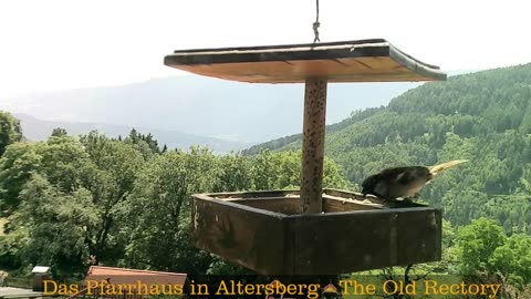 Old Rectory in Austria