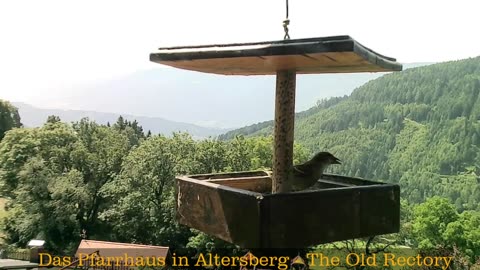 Old Rectory in Austria