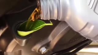😂🌍 Eco-Friendly Fail! | FunFM