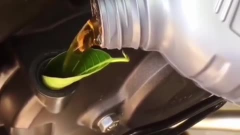 😂🌍 Eco-Friendly Fail! | FunFM