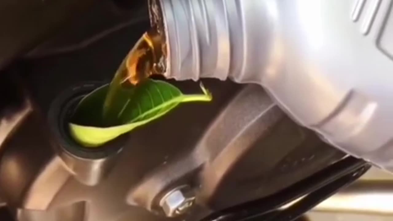 😂🌍 Eco-Friendly Fail! | FunFM
