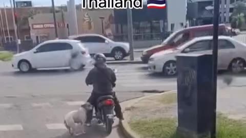 Normal day in Thailand 🇹🇭 🤣🤣