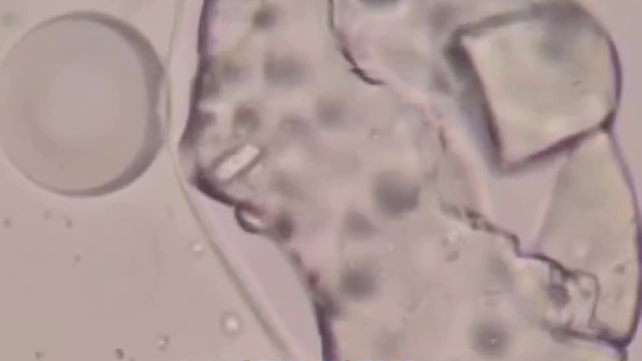 Nano tech now floods the tooth industry