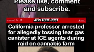 California Professor Arrested for Allegedly Throwing Tear Gas at ICE Agents