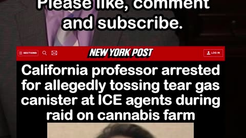 California Professor Arrested for Allegedly Throwing Tear Gas at ICE Agents
