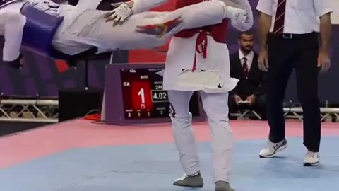 Bro gets Knocked out in a Taekwondo match with a killer move