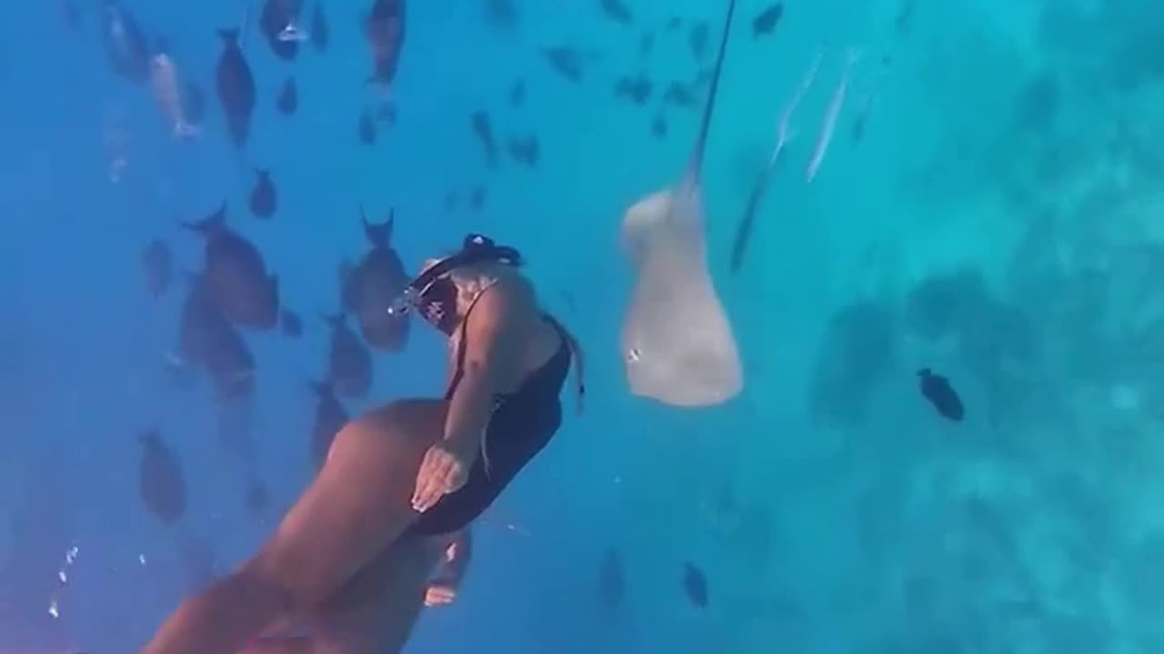 scuba diving