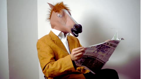 Funny Donkey Dancing video