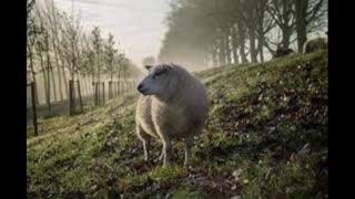 Weekly Words of Wisdom for Feb. 6 - 12