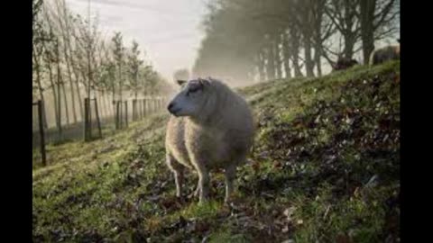 Weekly Words of Wisdom for Feb. 6 - 12