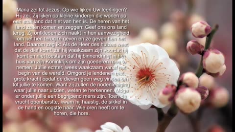 Maria vroeg aan Jezus