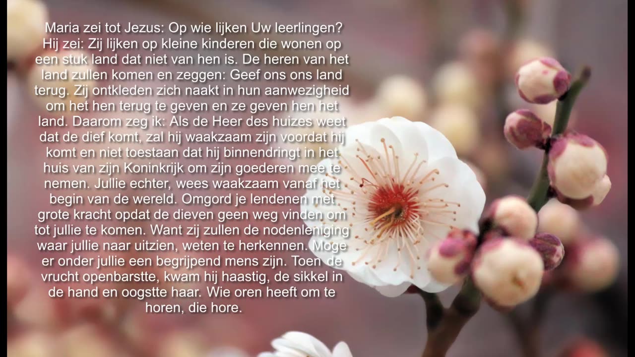 Maria vroeg aan Jezus