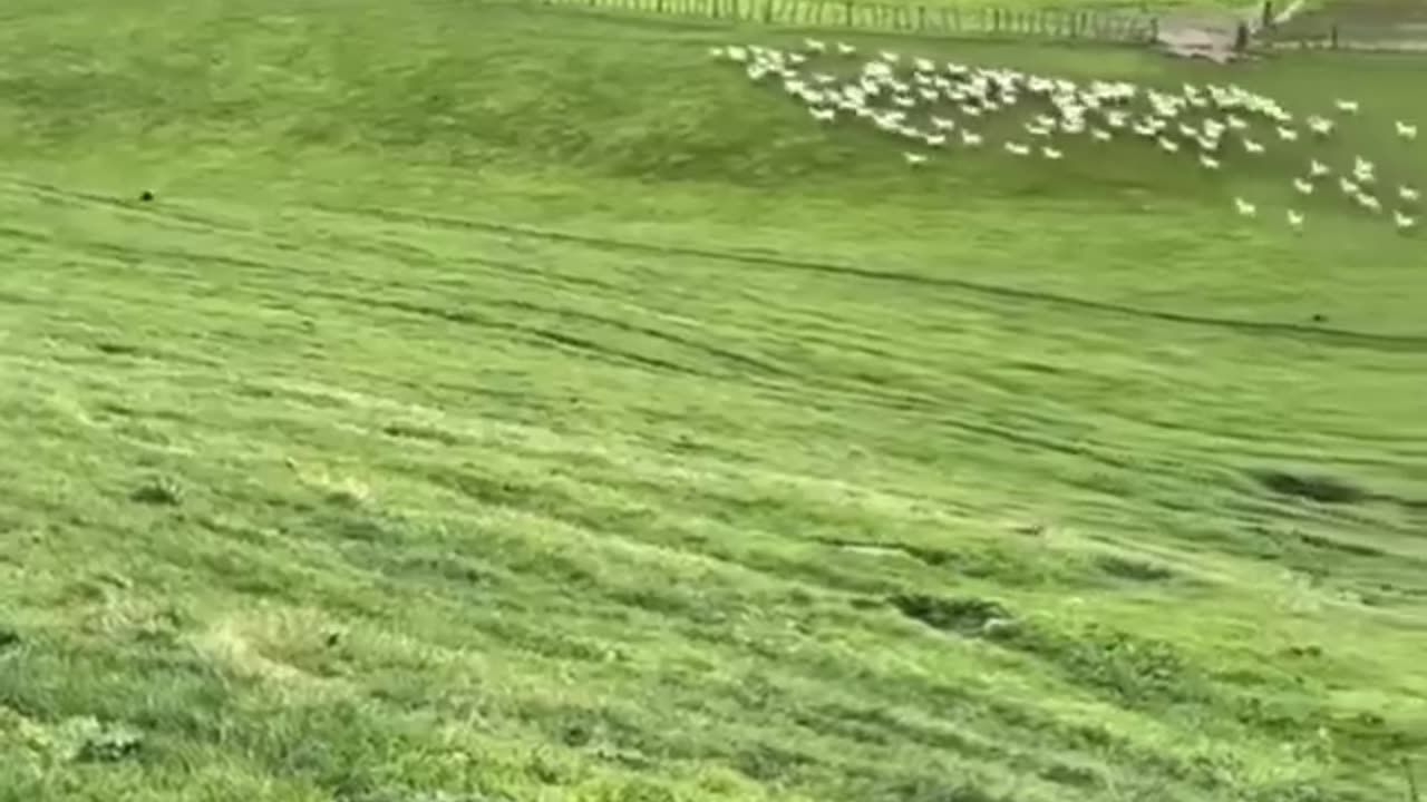 it’s leadership in motion