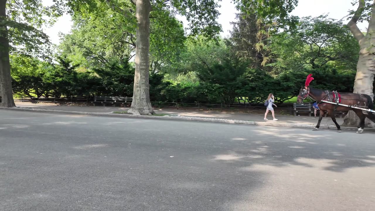 New York City LIVE Walking (chat on YouTube)
