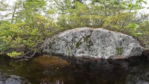 Rad Rock