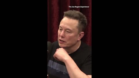 Joe Rogan talks about how when Elon Musk bought Twitter, and Trans declines