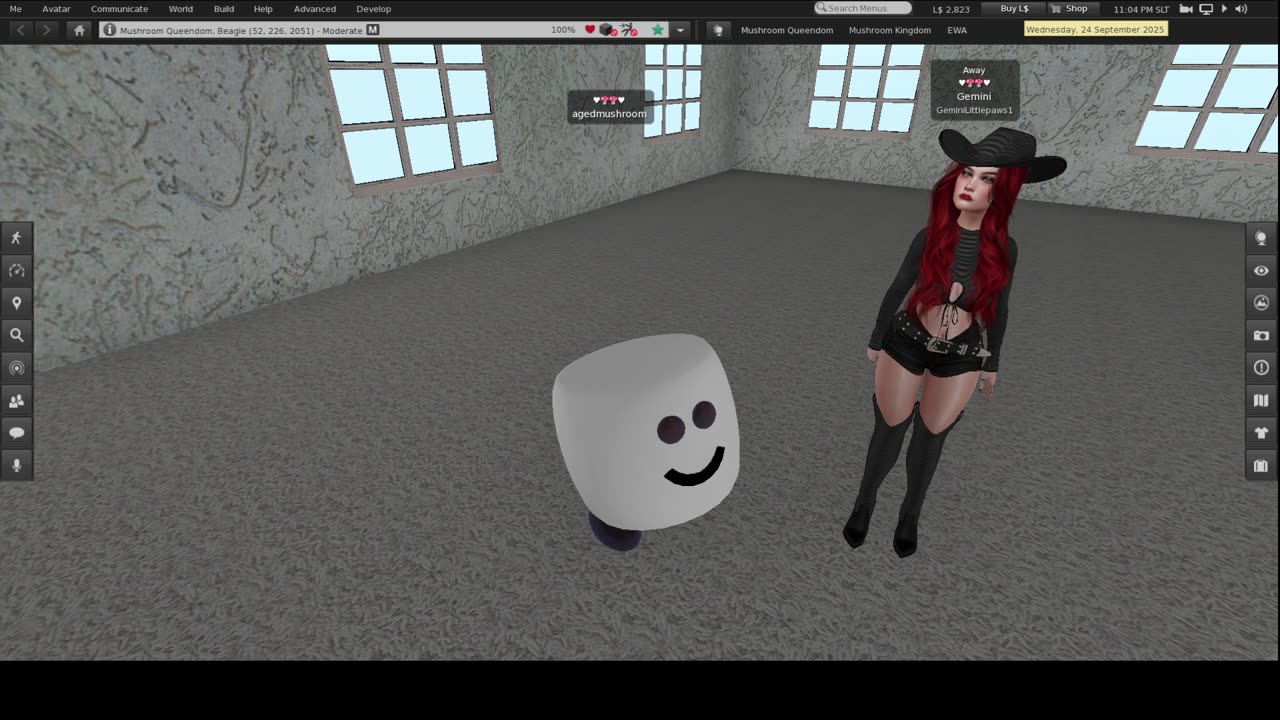 secondlife