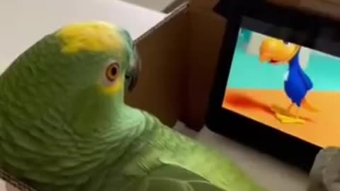 Parrot 🦜 at the Cinema
