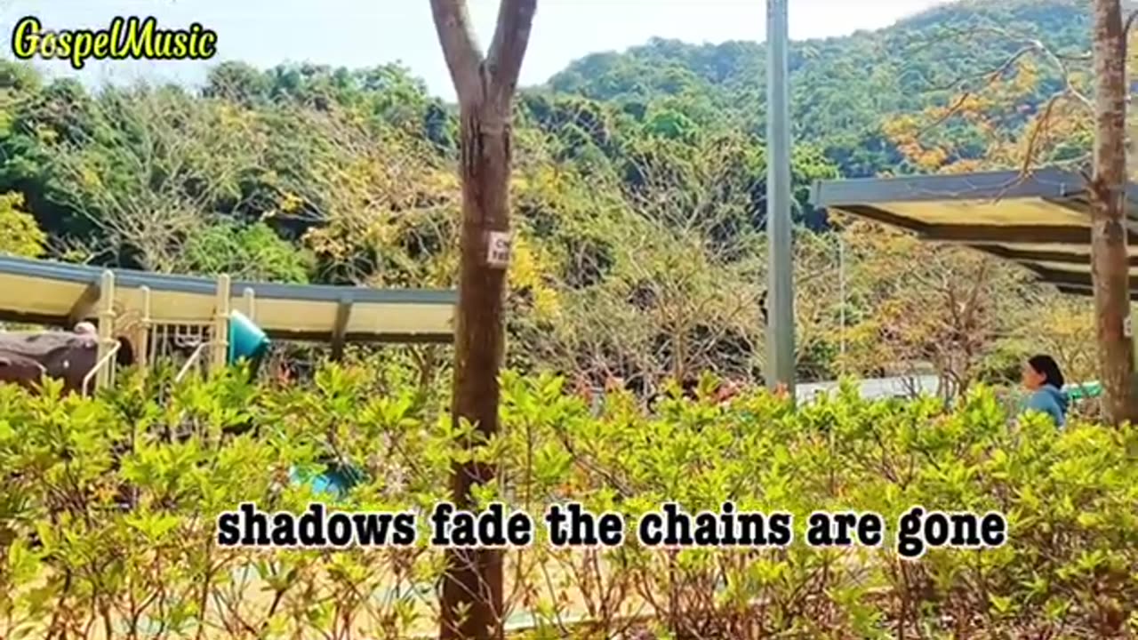 A COUNTRY REFLECTION - YOU MUST BE BORN AGAIN