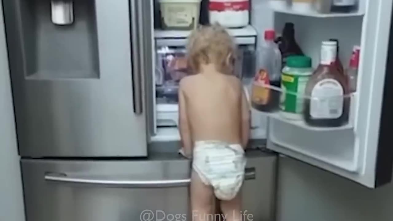 Funny_Dog_videos_🐶🐶__#laughing_#memes_#cute