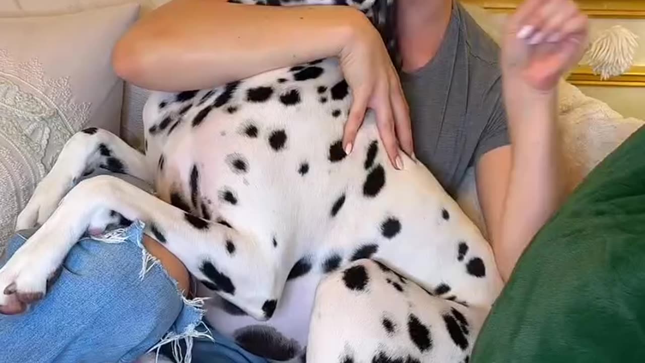 How choose doggy name fun sexy hot girl