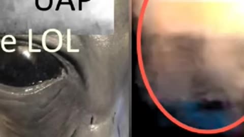 #ghost #paranormal #face #hand and #orbs is it. #hunan or #demon or #alien or artifacts #cam