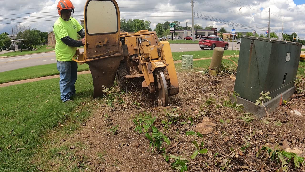 "How We Safely Remove Bushes and Grind Stumps Near a Utility Box"