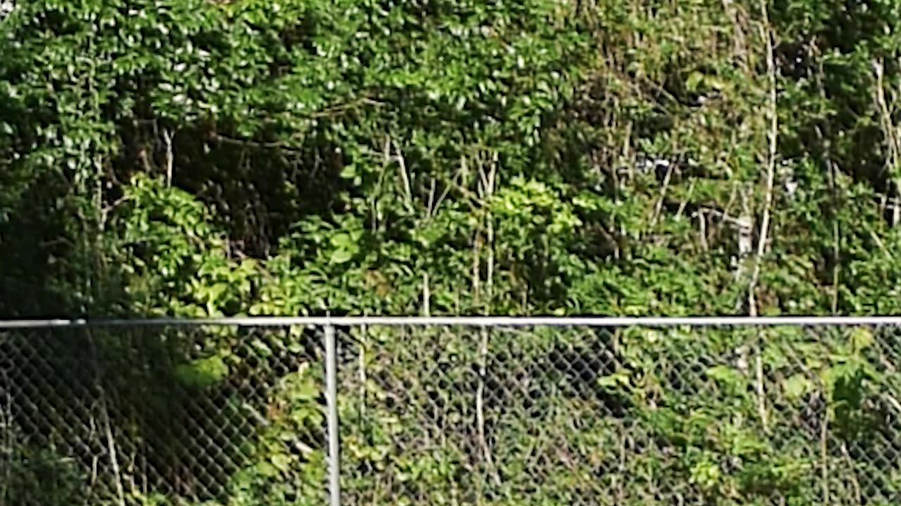 Never give up on yourself by Ed Delacruz. #money #wealth #crypto #shorts #reels