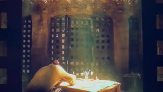 Love is the most powerful energy of all