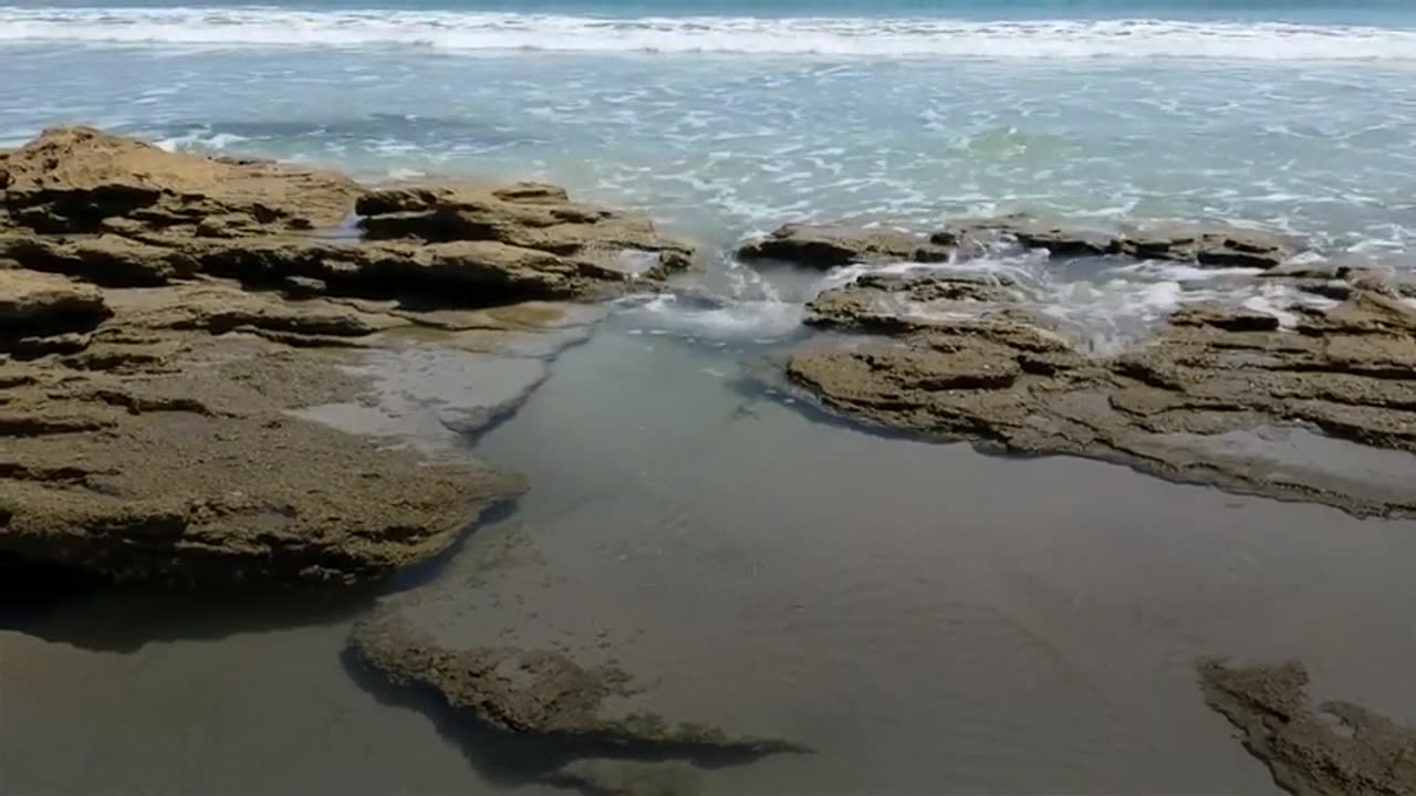 Coquina used in ancient castles and forts