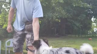 Back to the Basics: Lure Reward short 3