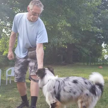 Back to the Basics: Lure Reward short 3