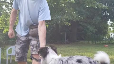 Back to the Basics: Lure Reward short 3