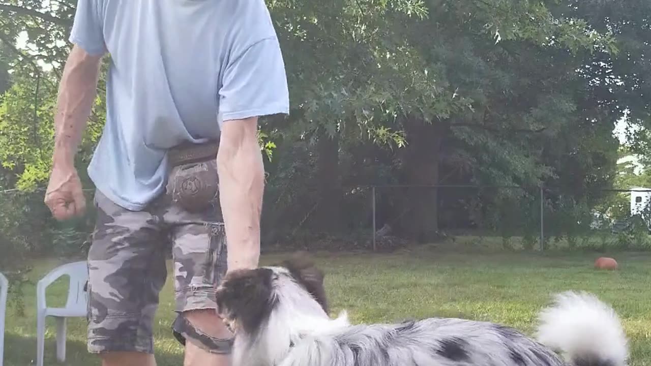 Back to the Basics: Lure Reward short 3