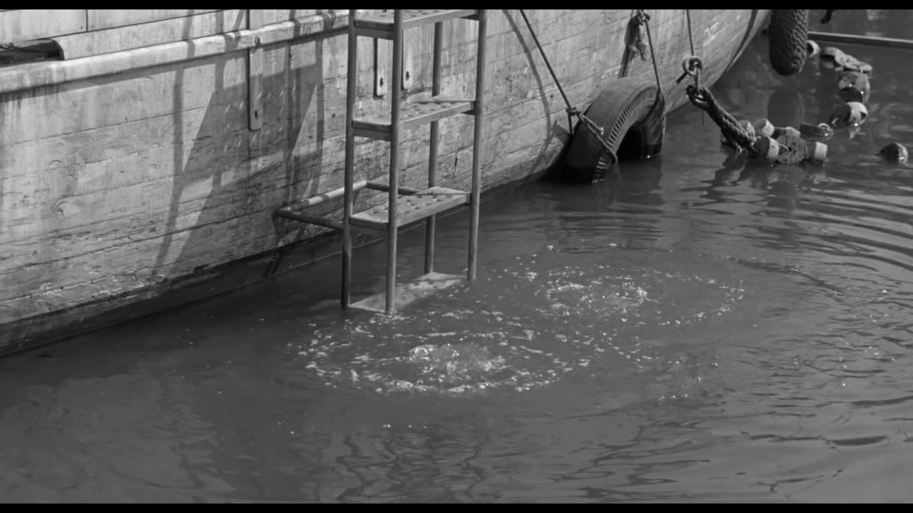 Creature from the Black Lagoon (1954) Full Movie