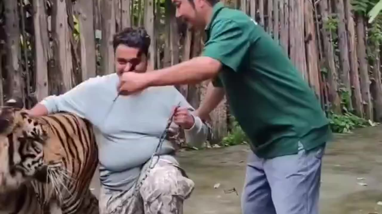 Apparently an Indian man attacked by a Tiger in Thailand.